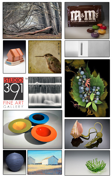 Studio 391 Fine Art Gallery
