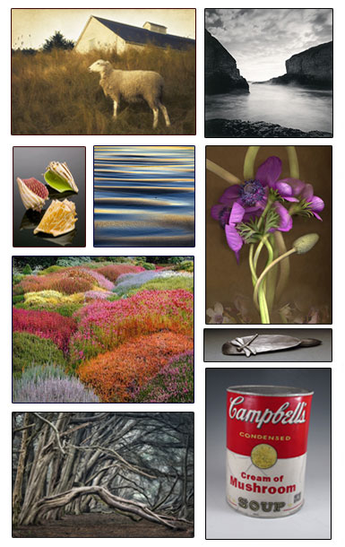 Studio 391 Fine Art Gallery