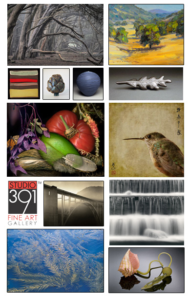 Studio 391 Fine Art Gallery