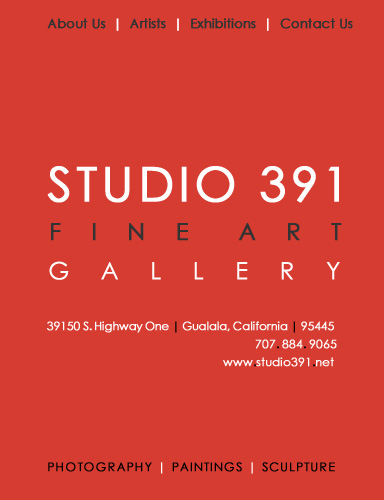 Studio 391 Fine Art Gallery